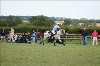 UKPA  NC Sat_1213